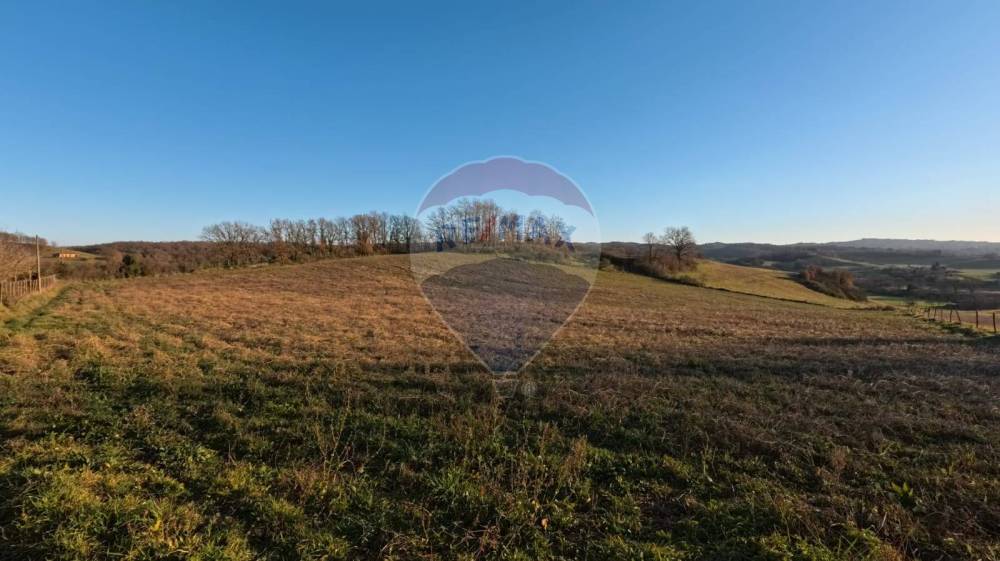 terreno agricolo in vendita a Mazzano Romano
