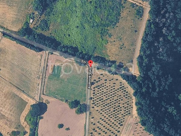 terreno agricolo in vendita a Mazzano Romano