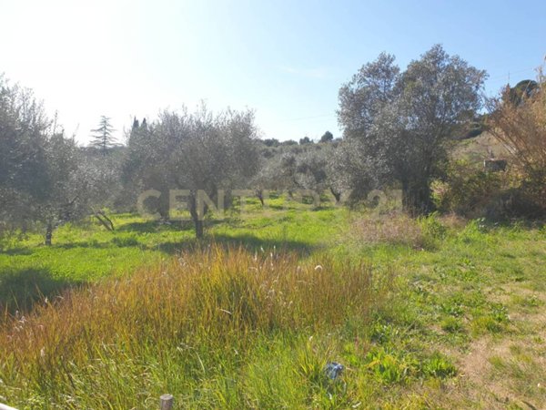 terreno agricolo in vendita a Mentana