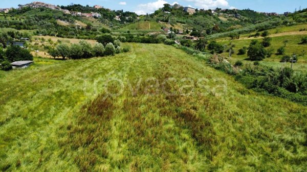 terreno agricolo in vendita a Mentana