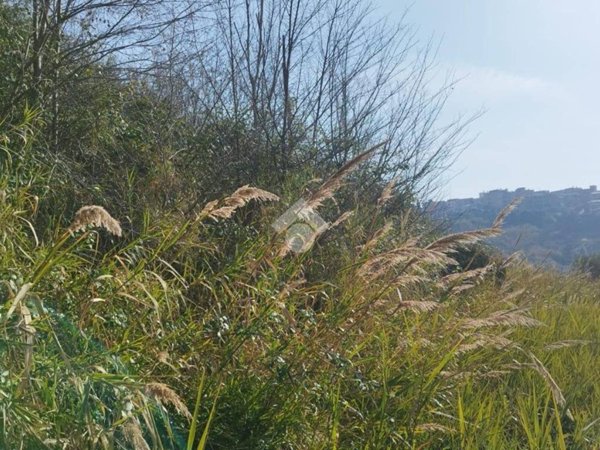 terreno agricolo in vendita a Mentana