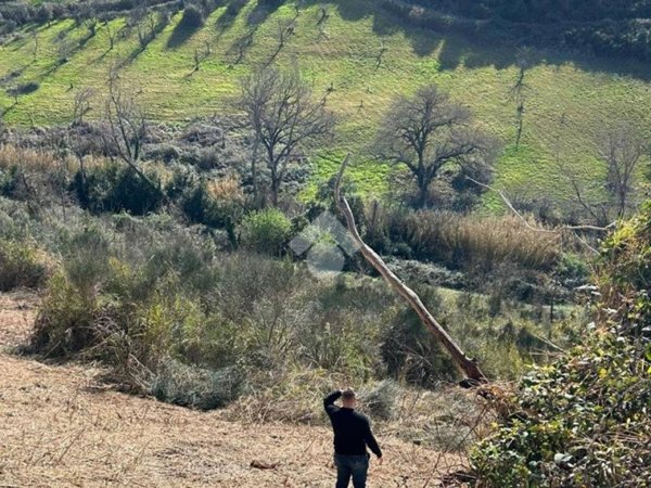 terreno agricolo in vendita a Mentana