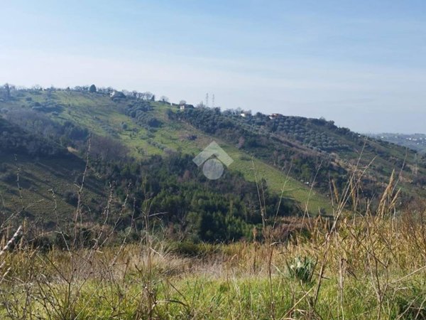 terreno agricolo in vendita a Mentana