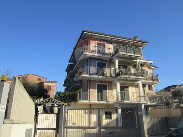 immagine annuncio 0 di 15