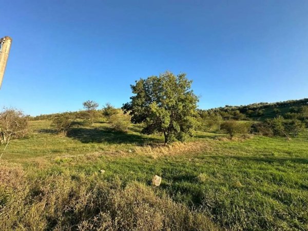 terreno agricolo in vendita a Mentana