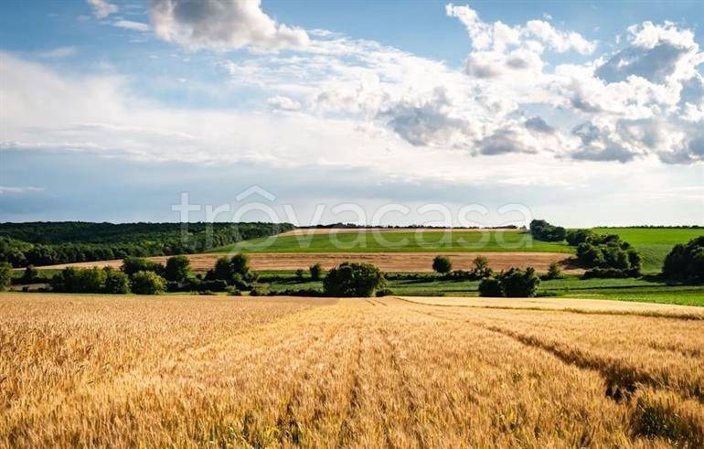 terreno agricolo in vendita a Mentana