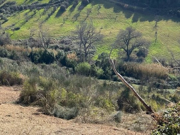 terreno agricolo in vendita a Mentana