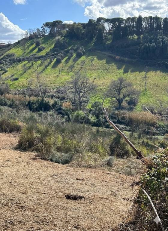 terreno agricolo in vendita a Mentana