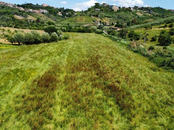 terreno agricolo in vendita a Mentana