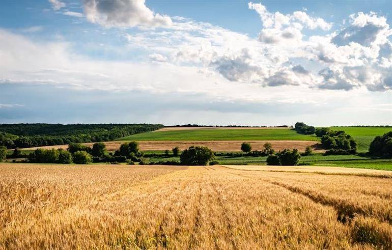 terreno agricolo in vendita a Mentana