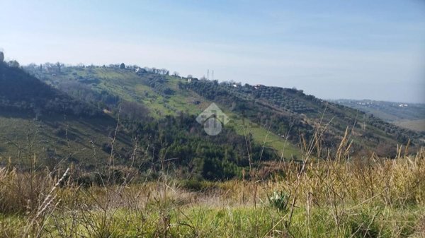 terreno agricolo in vendita a Mentana