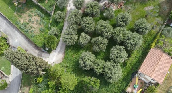 terreno edificabile in vendita a Mentana