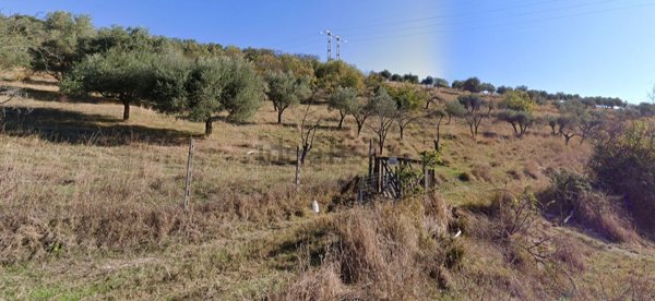 terreno agricolo in vendita a Mentana