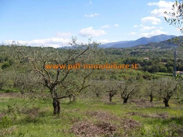 terreno agricolo in vendita a Mentana