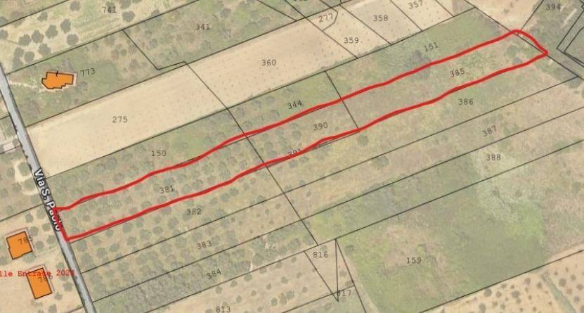 terreno agricolo in vendita a Mentana