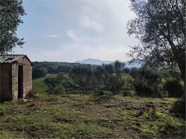 terreno agricolo in vendita a Mentana