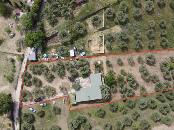 terreno agricolo in vendita a Mentana