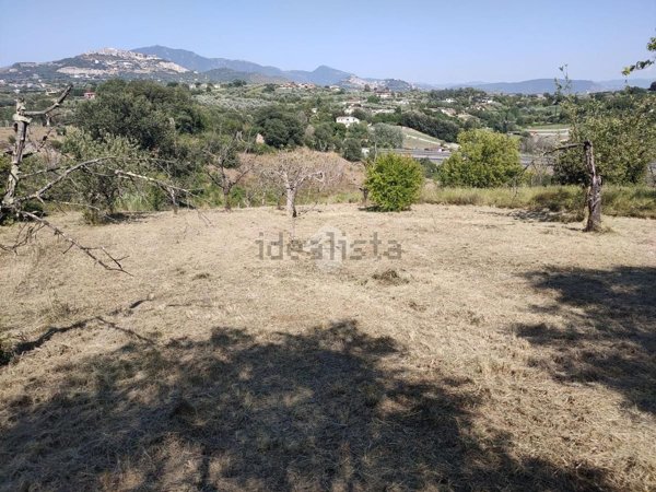 terreno agricolo in vendita a Mentana