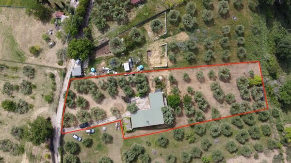 terreno agricolo in vendita a Mentana