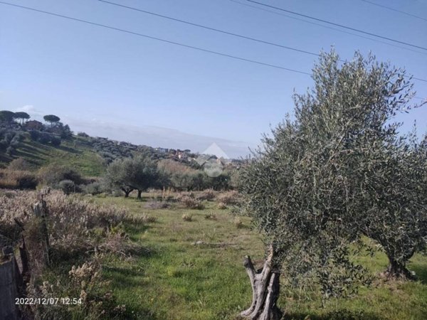terreno agricolo in vendita a Mentana