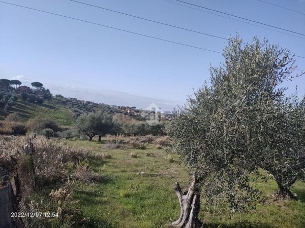 terreno agricolo in vendita a Mentana