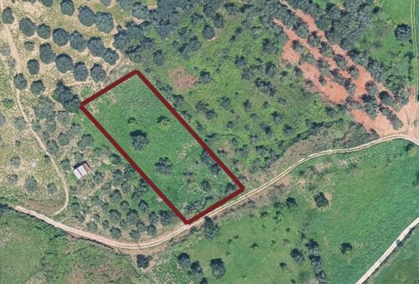 terreno agricolo in vendita a Mentana