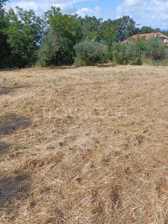 terreno agricolo in vendita a Monte Compatri