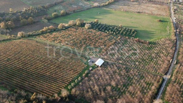 azienda agricola in vendita a Monte Compatri