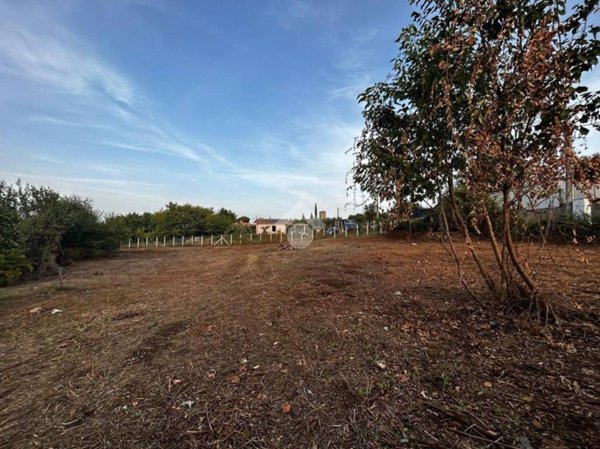 terreno agricolo in vendita a Monte Compatri in zona Pantano