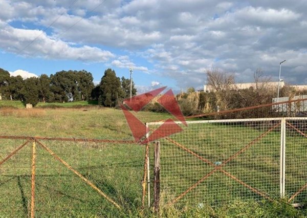 terreno agricolo in vendita a Monte Compatri in zona Laghetto