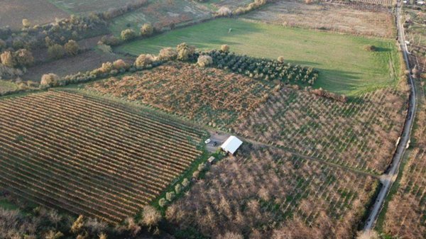terreno agricolo in vendita a Monte Compatri