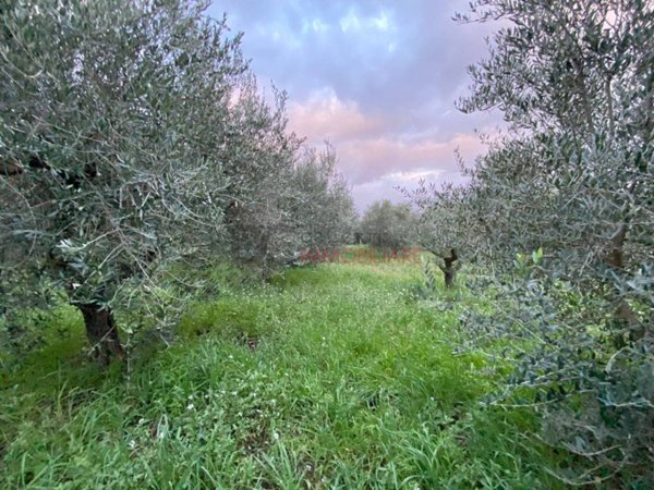 casa indipendente in vendita a Monte Compatri