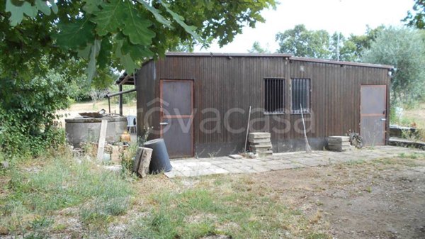 terreno agricolo in vendita a Monte Compatri