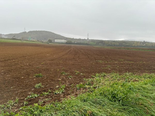 terreno industriale in vendita a Monte Compatri in zona Laghetto