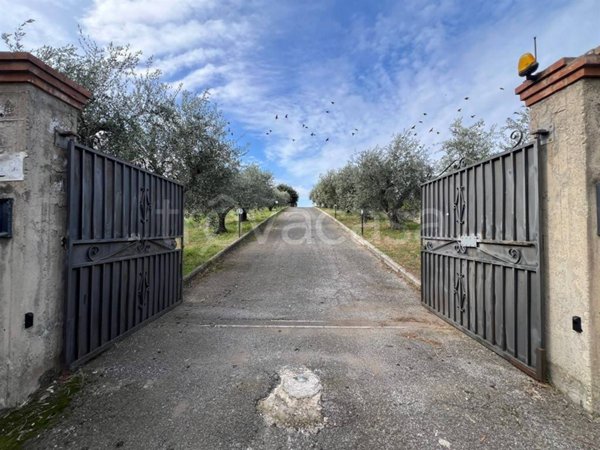 terreno agricolo in vendita a Monte Compatri in zona Pantano