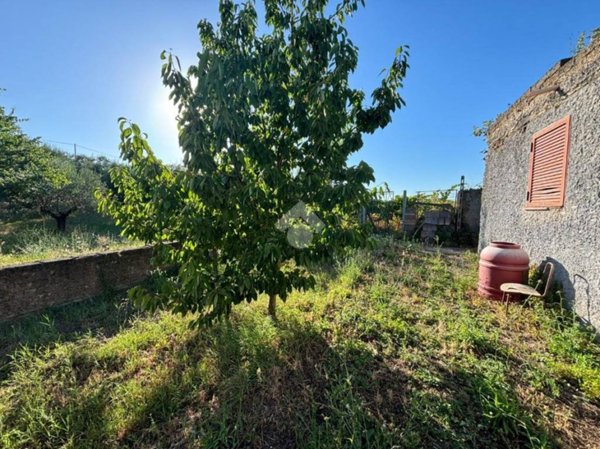 terreno agricolo in vendita a Monte Compatri