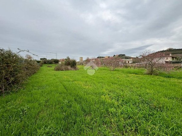 terreno agricolo in vendita a Monte Compatri in zona Laghetto