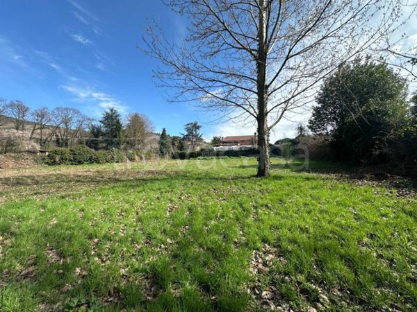 terreno agricolo in vendita a Monte Compatri
