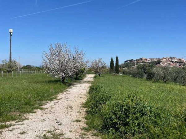 terreno agricolo in vendita a Monte Compatri