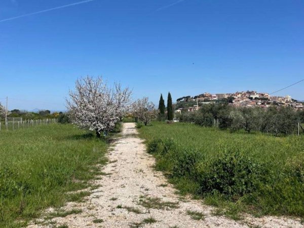 terreno agricolo in vendita a Monte Compatri