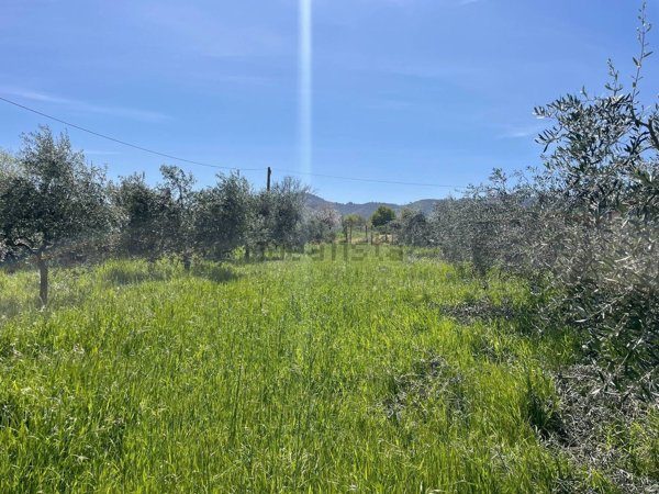 terreno agricolo in vendita a Monte Compatri
