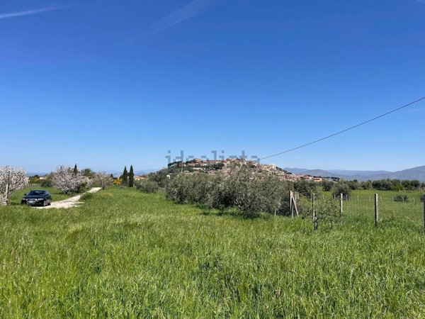 terreno agricolo in vendita a Monte Compatri