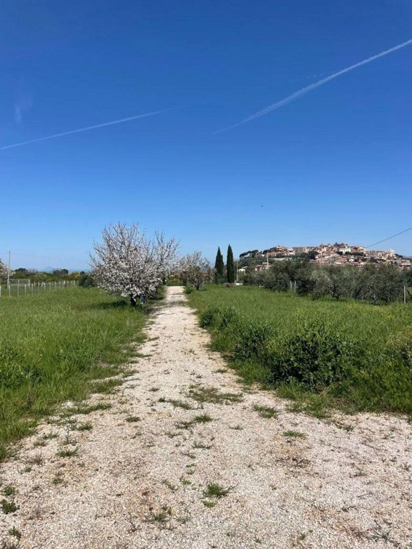 terreno agricolo in vendita a Monte Compatri