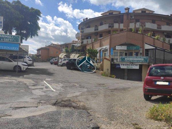 negozio in vendita a Monte Compatri in zona Laghetto