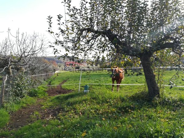 terreno in vendita a Monte Compatri in zona Pantano