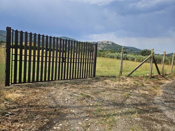 terreno agricolo in vendita a Monte Compatri