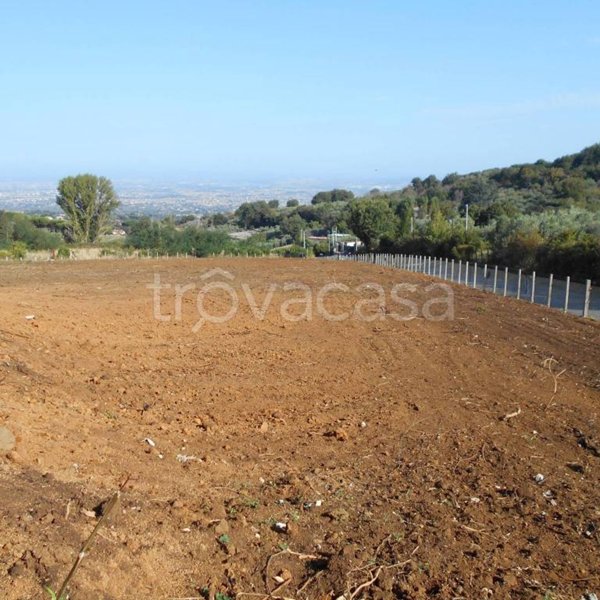 terreno agricolo in vendita a Monte Compatri in zona Pantano