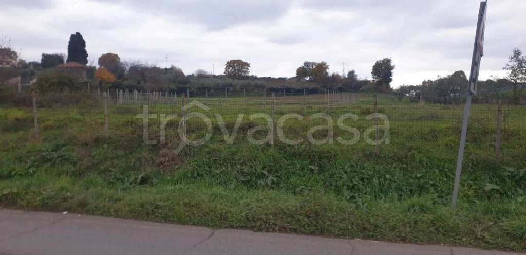 terreno agricolo in vendita a Monte Compatri