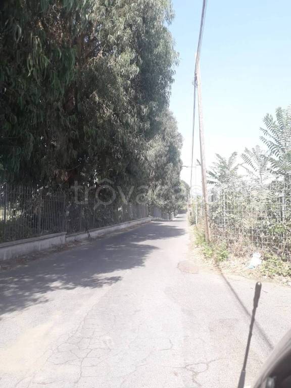 terreno agricolo in vendita a Monte Compatri in zona Pantano