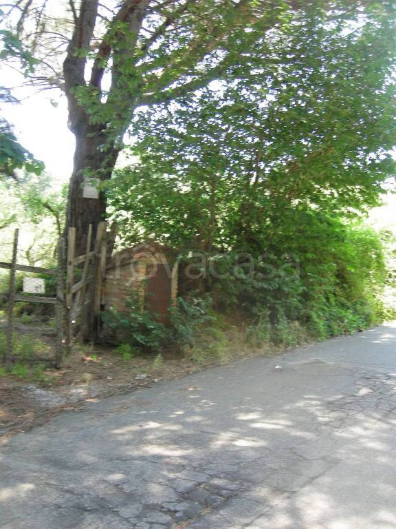terreno agricolo in vendita a Monte Compatri